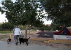foto de la noticia