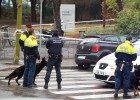 foto de la noticia
